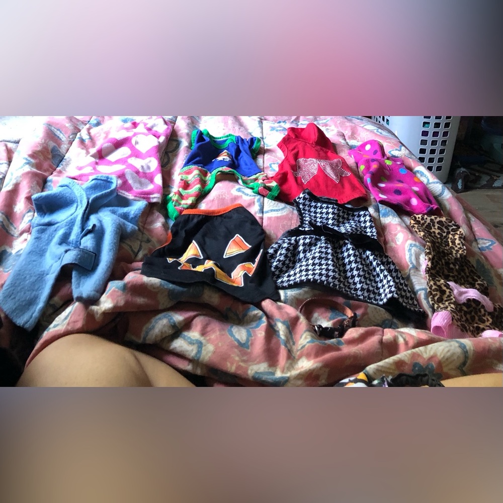 Doggie clothes